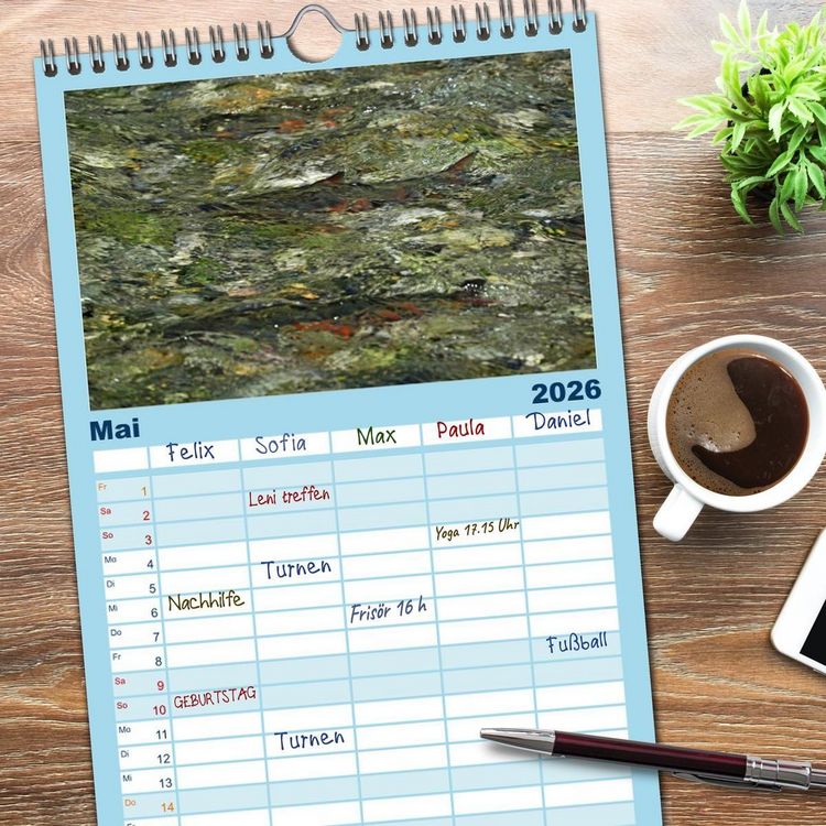 Produktbild: Familienplaner 2026 - Faszination Fische mit 5 Spalten (Wandkalender, 21 x 45 cm) CALVENDO