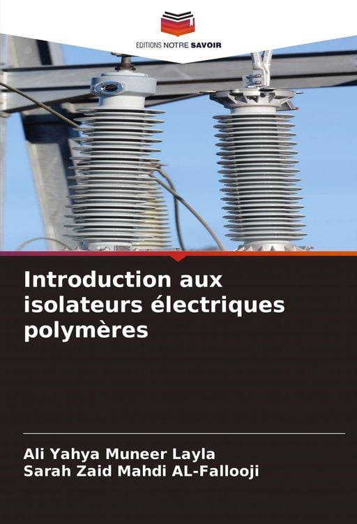 Produktbild: Introduction aux isolateurs &eacute;lectriques polym&egrave;res