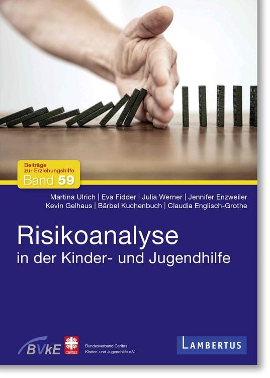 Produktbild: Risikoanalyse in der Kinder- und Jugendhilfe