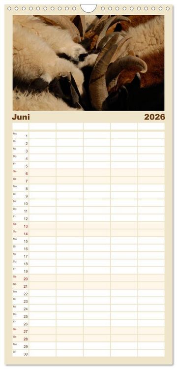 Produktbild: Familienplaner 2026 - W&uuml;ste Gobi mit 5 Spalten (Wandkalender, 21 x 45 cm) CALVENDO