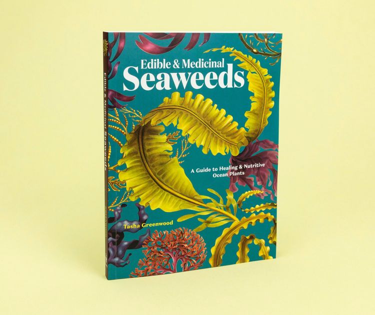 Produktbild: Edible & Medicinal Seaweeds
