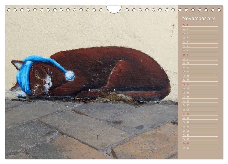 Produktbild: Flensburger Katzen (Wandkalender 2026 DIN A4 quer), CALVENDO Monatskalender