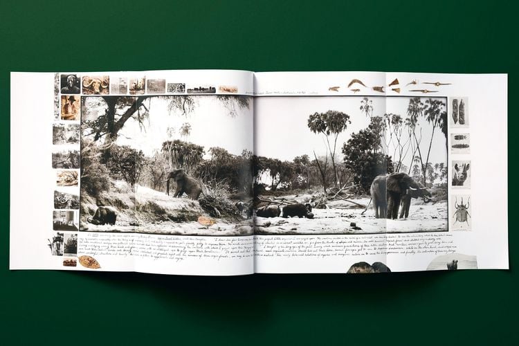 Produktbild: Peter Beard