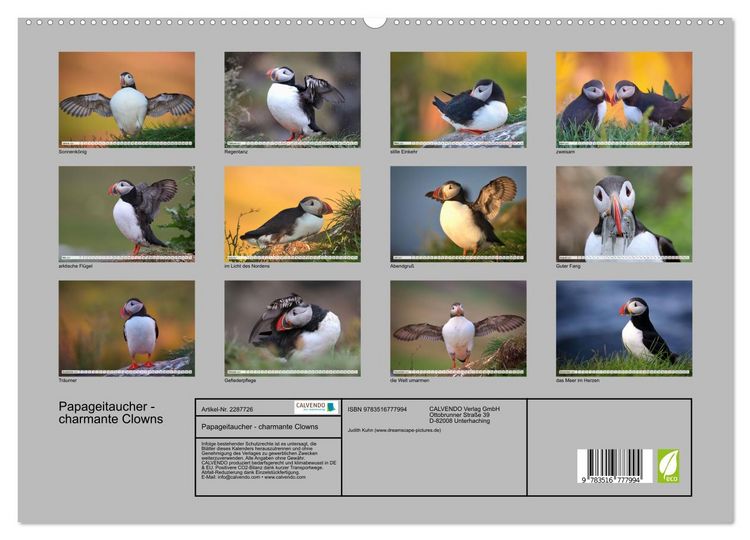 Produktbild: Papageitaucher - charmante Clowns (hochwertiger Premium Wandkalender 2027 DIN A2 quer), Kunstdruck in Hochglanz