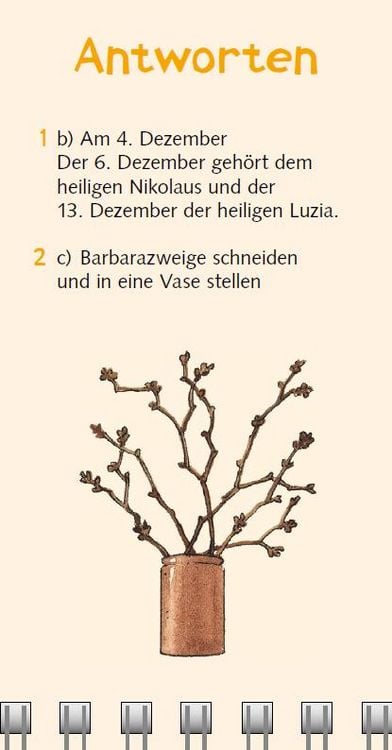 Produktbild: Br&auml;uche-Quiz