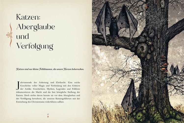 Produktbild: Katzenmagie