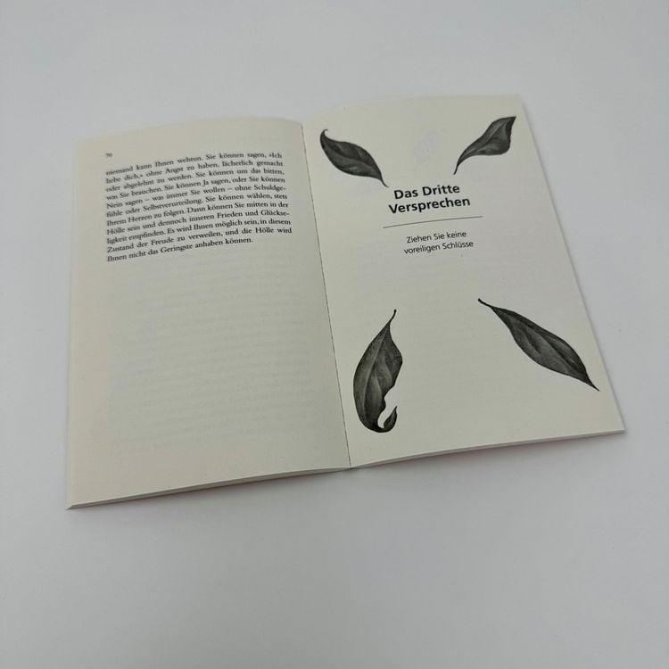 Produktbild: Die vier Versprechen