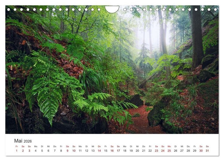 Produktbild: Fr&auml;nkische Schweiz &ndash; Zwischen Burgen, H&ouml;hlen und W&auml;ldern (Wandkalender 2026 DIN A4 quer), CALVENDO Monatskalender