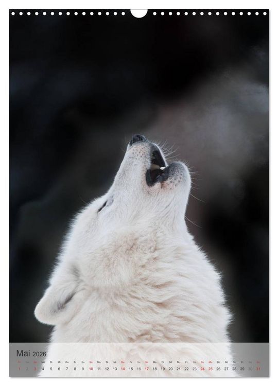 Produktbild: Emotionale Momente: Der Wolf. (Wandkalender 2026 DIN A3 hoch), CALVENDO Monatskalender