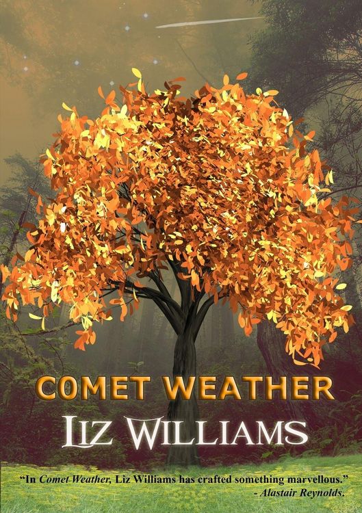 Produktbild: Comet Weather