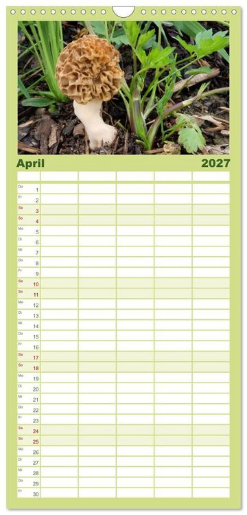 Produktbild: Familienplaner 2027 - Pilzkalender mit 5 Spalten (Wandkalender, 21 x 45 cm) CALVENDO