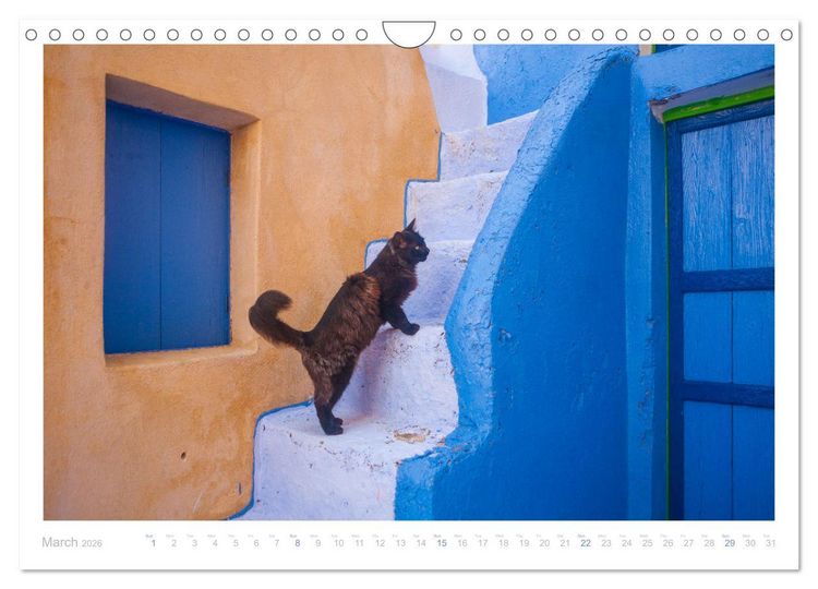 Produktbild: Cats of the Greek Islands (Wall Calendar 2026 DIN A4 landscape), CALVENDO 12 Month Wall Calendar