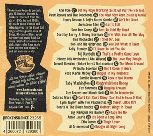 Produktbild: Rock And Roll Vixens Vol.6
