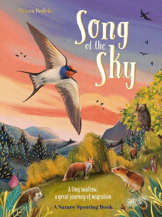 Produktbild: Song of the Sky