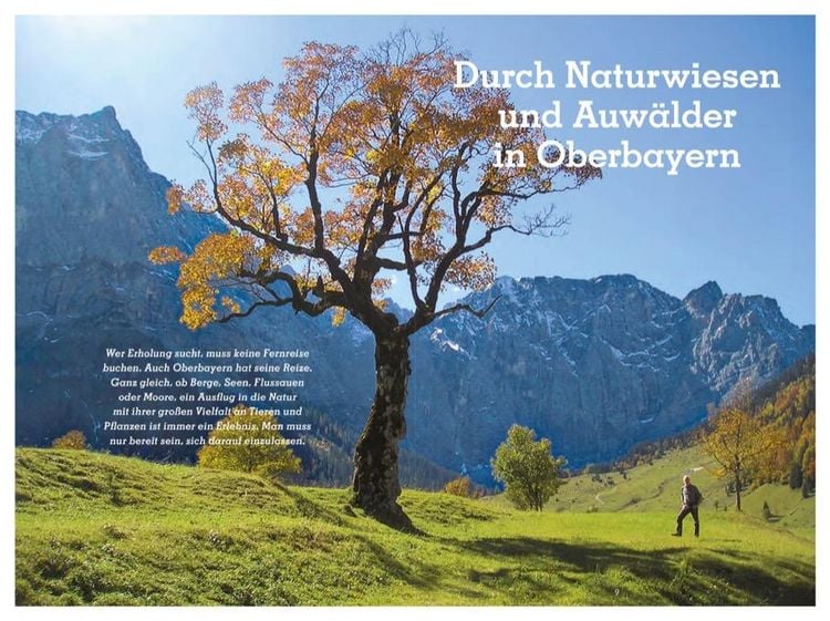 Produktbild: Durch Naturwiesen und Auw&auml;lder in Oberbayern