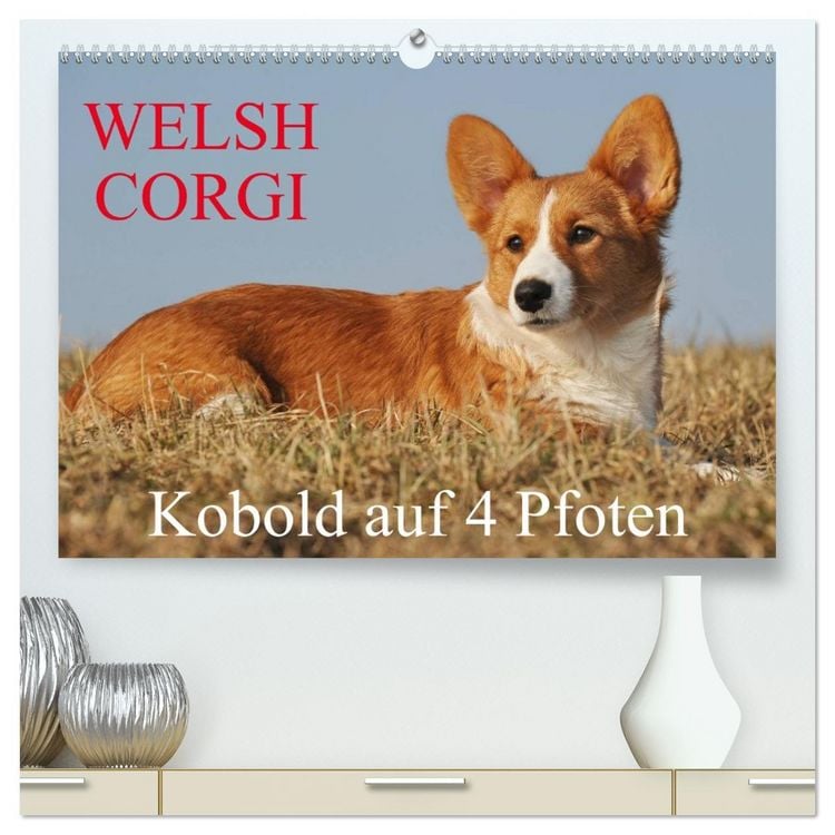 Produktbild: Welsh Corgi - Kobold auf 4 Pfoten (hochwertiger Premium Wandkalender 2026 DIN A2 quer), Kunstdruck in Hochglanz
