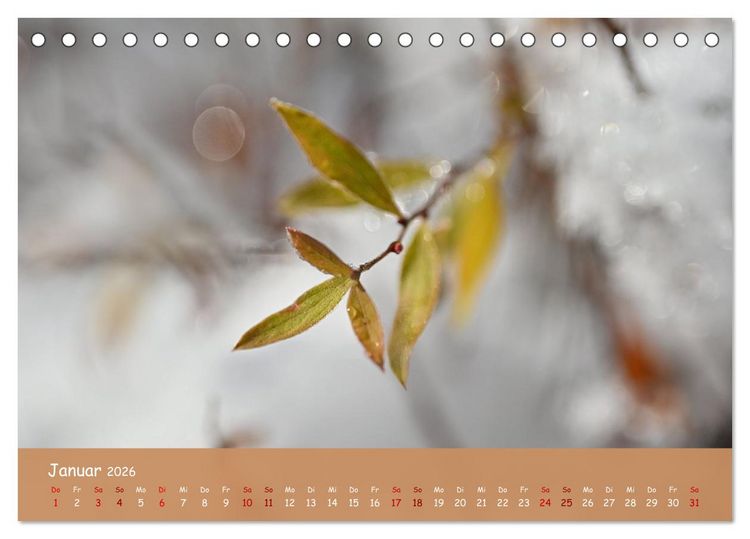 Produktbild: Der Zauber steckt immer im Detail (Tischkalender 2026 DIN A5 quer), CALVENDO Monatskalender