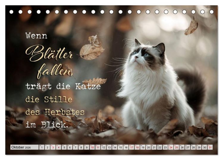 Produktbild: Katzenpoesie - Herzber&uuml;hrende Verse (Tischkalender 2026 DIN A5 quer), CALVENDO Monatskalender