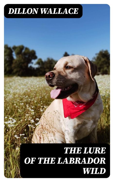 Produktbild: The Lure of the Labrador Wild