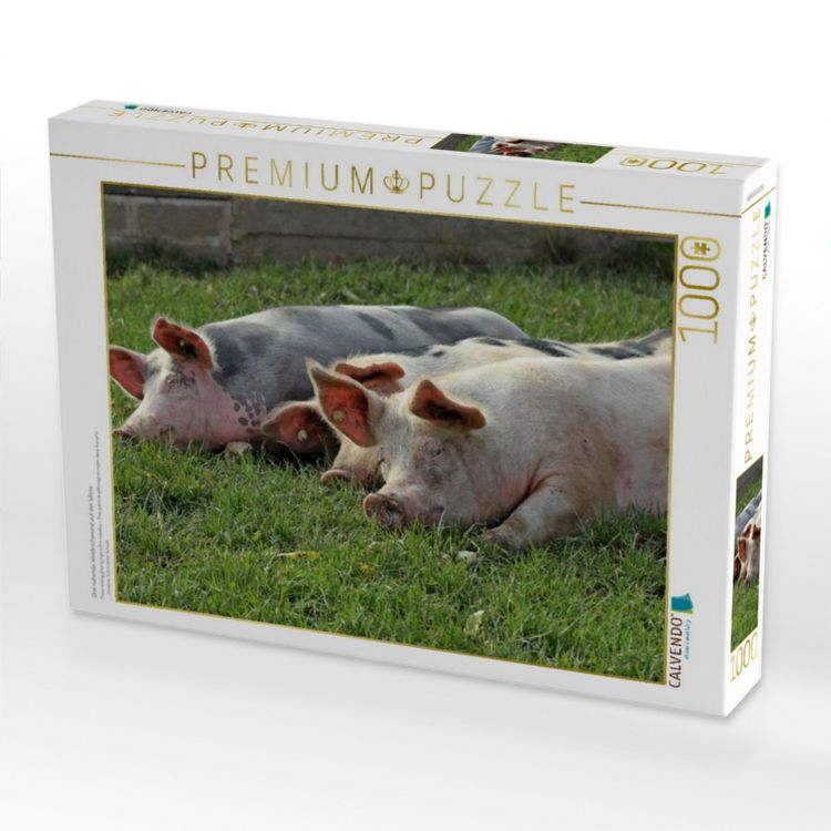 Produktbild: CALVENDO Puzzle Drei ruhende Weideschweine auf der Wiese | 1000 Teile Lege-Gr&ouml;&szlig;e 64x48cm Foto-Puzzle f&uuml;r gl&uuml;ckliche Stunden