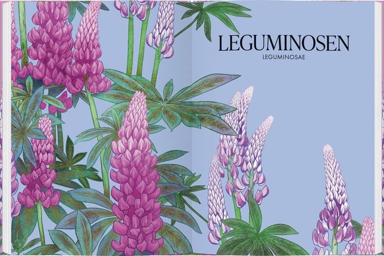 Produktbild: Bl&uuml;ten
