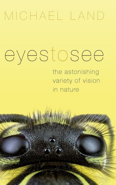 Produktbild: Eyes to See