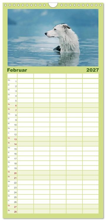 Produktbild: Familienplaner 2027 - Der Bordercollie-Kalender mit 5 Spalten (Wandkalender, 21 x 45 cm) CALVENDO