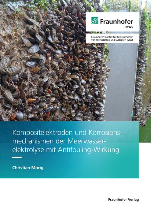 Produktbild: Kompositelektroden und Korrosionsmechanismen der Meerwasserelektrolyse mit Antifouling-Wirkung