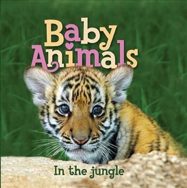 Produktbild: Baby Animals in The Jungle-Boa