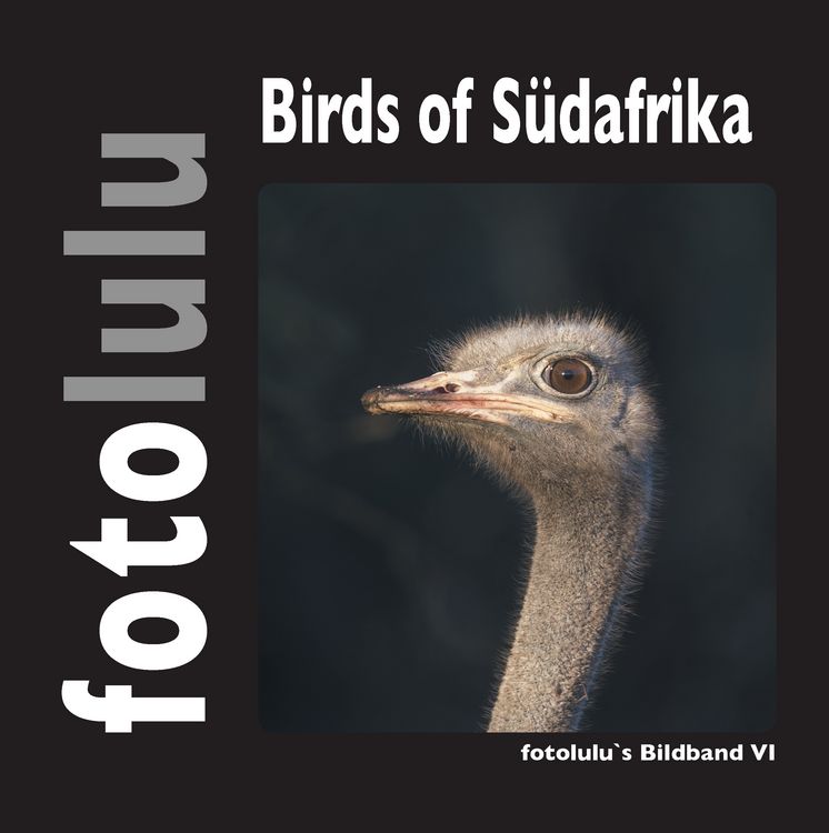 Produktbild: Birds of S&uuml;dafrika