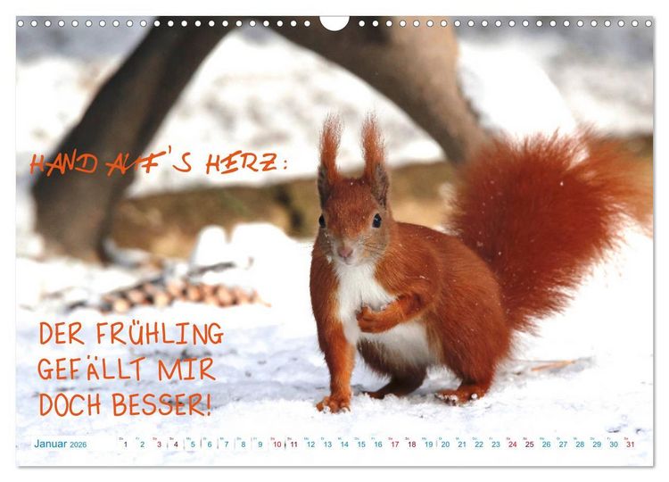 Produktbild: Humorvolles aus der Tierwelt (Wandkalender 2026 DIN A3 quer), CALVENDO Monatskalender