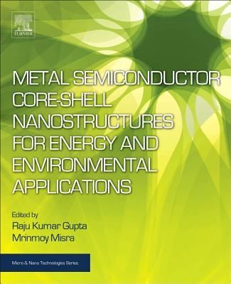 Produktbild: Metal Semiconductor Core-Shell Nanostructures for Energy and Environmental Applications