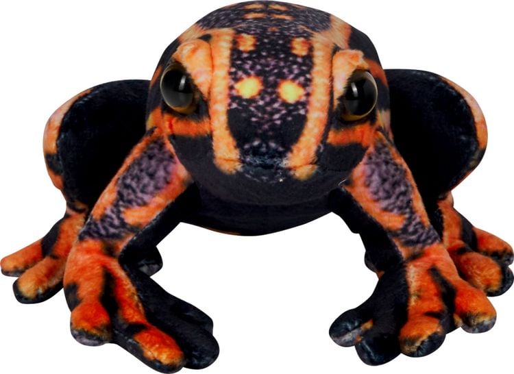 Produktbild: Pfeilgiftfrosch / Nature Zoom