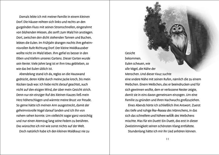 Produktbild: Das geheime Leben der Tiere (Gebirge) - Die Tr&auml;ume der Eulen