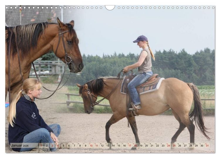 Produktbild: Quarter Horses - Die gr&ouml;&szlig;te Zuchtbuchrasse der Welt (Wandkalender 2026 DIN A3 quer), CALVENDO Monatskalender