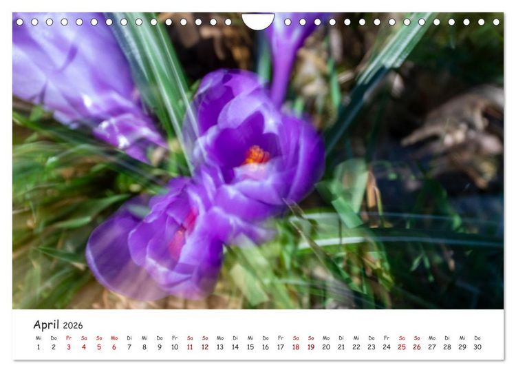 Produktbild: Abstrakte Naturerlebnisse - ICM (Intentional Camera Movement) Fotografie (Wandkalender 2026 DIN A4 quer), CALVENDO Monatskalender