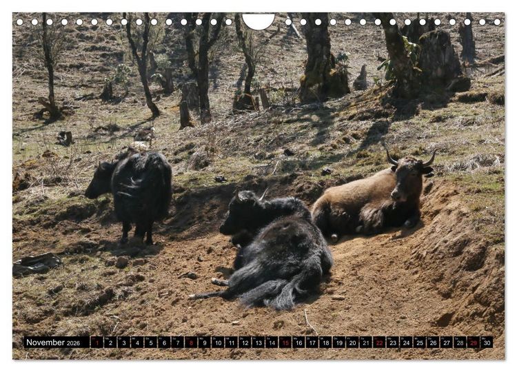 Produktbild: Druk Yul - Szenen aus Bhutan (Wandkalender 2026 DIN A4 quer), CALVENDO Monatskalender