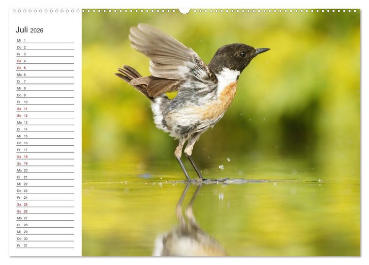 Produktbild: Faszinierendes Bulgarien (Wandkalender 2026 DIN A2 quer), CALVENDO Monatskalender