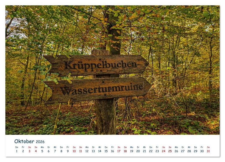 Produktbild: Verliebt in R&uuml;gen (hochwertiger Premium Wandkalender 2026 DIN A2 quer), Kunstdruck in Hochglanz