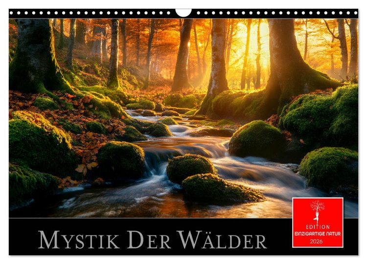 Produktbild: Mystik der W&auml;lder (Wandkalender 2026 DIN A3 quer), CALVENDO Monatskalender