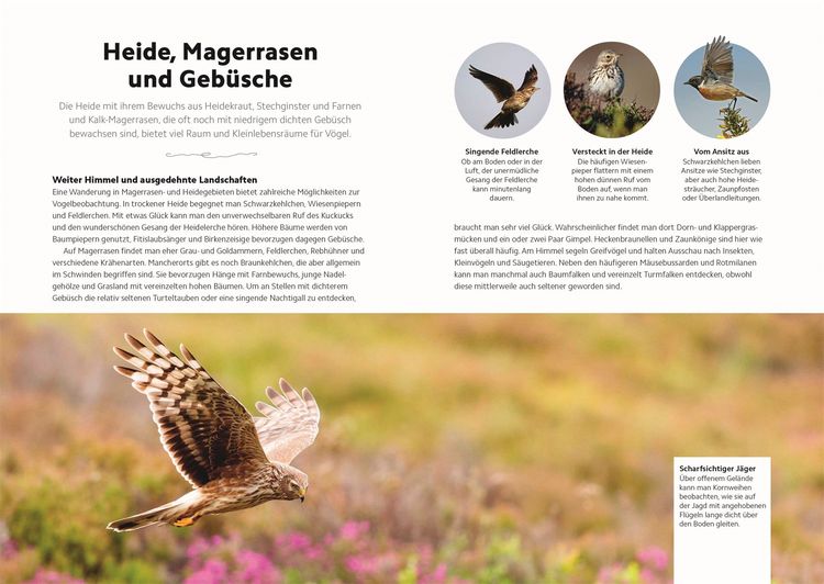 Produktbild: V&ouml;gel beobachten und ihre Lebensr&auml;ume kennenlernen