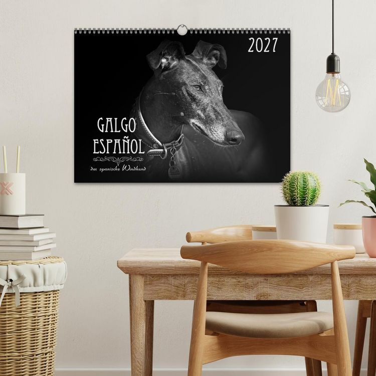 Produktbild: Galgo Espa&ntilde;ol - der spanische Windhund 2027 (Wandkalender 2027 DIN A3 quer), CALVENDO Monatskalender