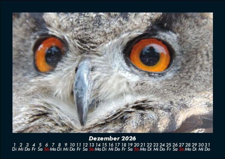 Produktbild: Der Tierkalender 2026 Fotokalender DIN A5
