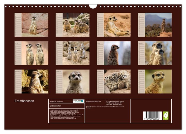 Produktbild: Erdm&auml;nnchen (Wandkalender 2026 DIN A3 quer), CALVENDO Monatskalender
