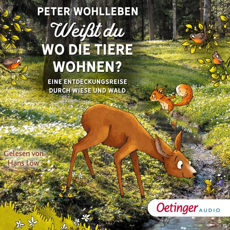 Produktbild: Wei&szlig;t du, wo die Tiere wohnen? Eine Entdeckungsreise durch Wiese und Wald