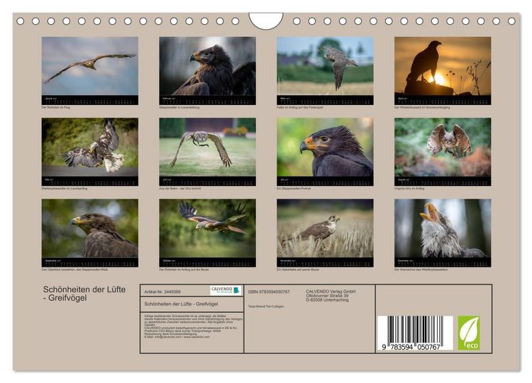 Produktbild: Sch&ouml;nheiten der L&uuml;fte - Greifv&ouml;gel (Wandkalender 2027 DIN A4 quer), CALVENDO Monatskalender