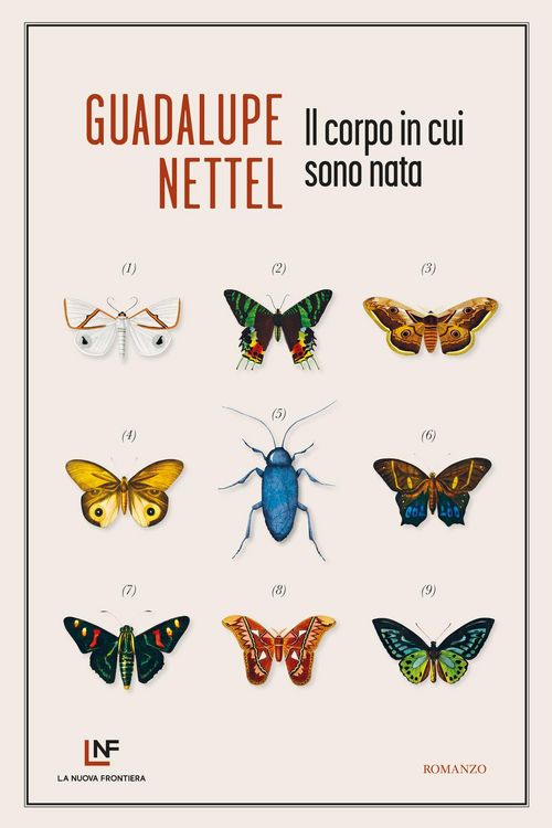 Produktbild: Il corpo in cui sono nata