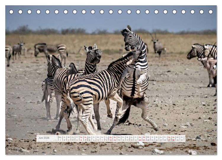 Produktbild: Namibia &ndash; Farben des Lebens (Tischkalender 2026 DIN A5 quer), CALVENDO Monatskalender