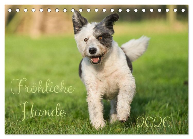 Produktbild: Fr&ouml;hliche Hunde (Tischkalender 2026 DIN A5 quer), CALVENDO Monatskalender
