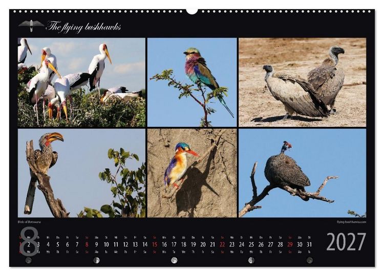 Produktbild: Botswana Blickwinkel 2027 (hochwertiger Premium Wandkalender 2027 DIN A2 quer), Kunstdruck in Hochglanz